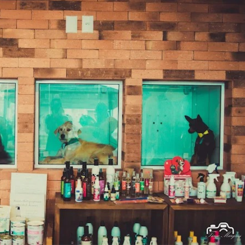 Banho e Tosa em Tubarão